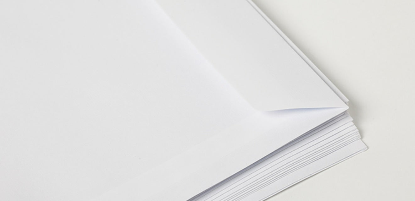 ENVELOPES DE PREVISÃO LYNX (X50)