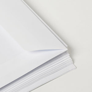 ENVELOPES DE PREVISÃO LYNX (X50)